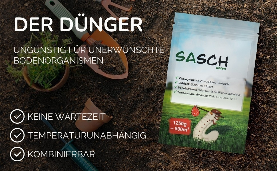 SASCH Selen – Bild 9